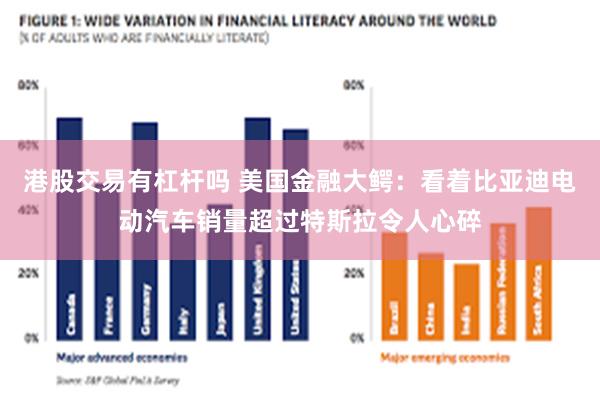 港股交易有杠杆吗 美国金融大鳄：看着比亚迪电动汽车销量超过特斯拉令人心碎