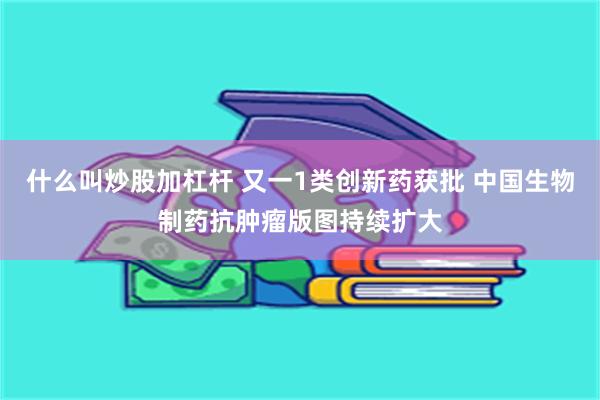 什么叫炒股加杠杆 又一1类创新药获批 中国生物制药抗肿瘤版图持续扩大