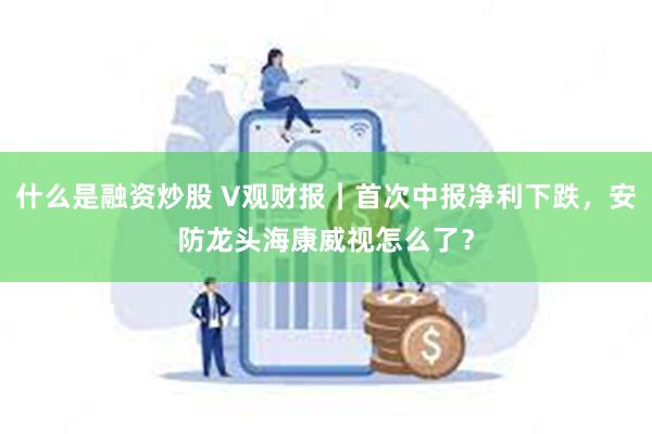 什么是融资炒股 V观财报｜首次中报净利下跌，安防龙头海康威视怎么了？