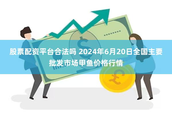 股票配资平台合法吗 2024年6月20日全国主要批发市场甲鱼价格行情