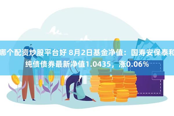 哪个配资炒股平台好 8月2日基金净值：国寿安保泰和纯债债券最新净值1.0435，涨0.06%