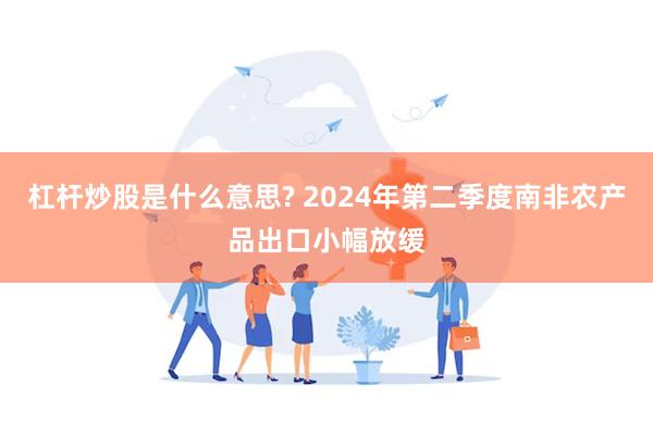 杠杆炒股是什么意思? 2024年第二季度南非农产品出口小幅放缓