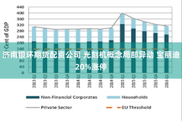 济南银环期货配资公司 光刻机概念局部异动 宝丽迪20%涨停