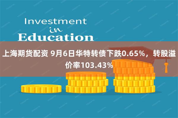 上海期货配资 9月6日华特转债下跌0.65%，转股溢价率103.43%