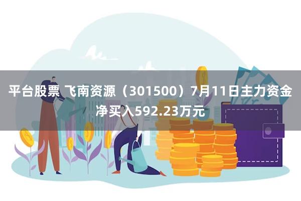 平台股票 飞南资源（301500）7月11日主力资金净买入592.23万元