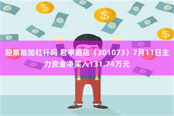 股票能加杠杆吗 君亭酒店（301073）7月11日主力资金净买入131.74万元