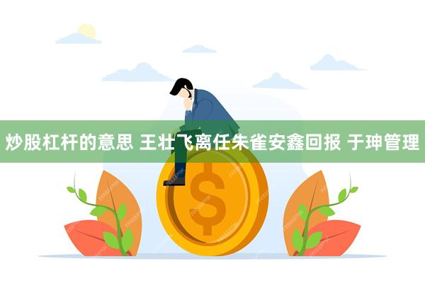 炒股杠杆的意思 王壮飞离任朱雀安鑫回报 于珅管理