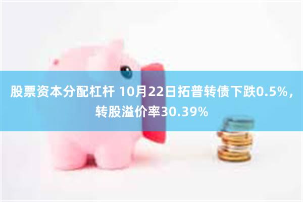 股票资本分配杠杆 10月22日拓普转债下跌0.5%，转股溢价率30.39%