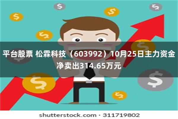 平台股票 松霖科技（603992）10月25日主力资金净卖出314.65万元