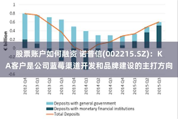 股票账户如何融资 诺普信(002215.SZ)：KA客户是公司蓝莓渠道开发和品牌建设的主打方向