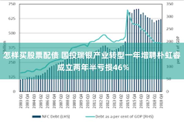 怎样买股票配债 国投瑞银产业转型一年增聘朴虹睿 成立两年半亏损46%